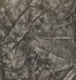 Crinkled Silver