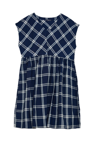 Navy and white plaid dress on a white background