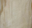 Wheat