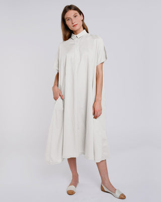 Amici Swing Shirtdress