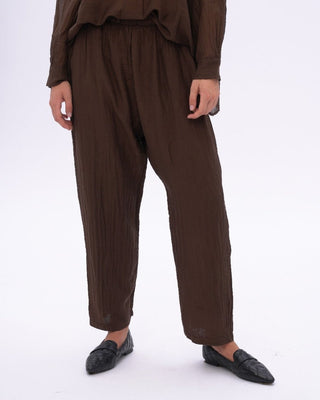 A person standing wearing brown cotton silk blend drawstring pants with an elastic waistband, tapered hem, and pockets.